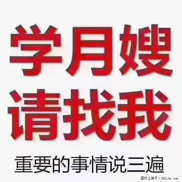 为什么要学习月嫂，育婴师？ - 其他广告 - 广告专区 - 安康分类信息 - 安康28生活网 ankang.28life.net