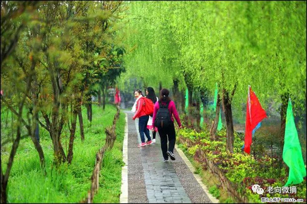 【春天，广西桂林灌阳县向您发出邀请！】江口老街又逢春 - 游山玩水 - 安康生活社区 - 安康28生活网 ankang.28life.net