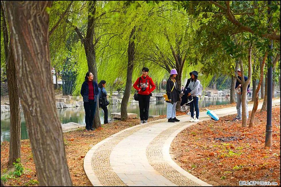 【春天，广西桂林灌阳县向您发出邀请！】江口老街又逢春 - 游山玩水 - 安康生活社区 - 安康28生活网 ankang.28life.net