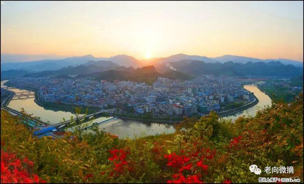 【春天，广西桂林灌阳县向您发出邀请！】登麒麟山，相约映山红 - 游山玩水 - 安康生活社区 - 安康28生活网 ankang.28life.net