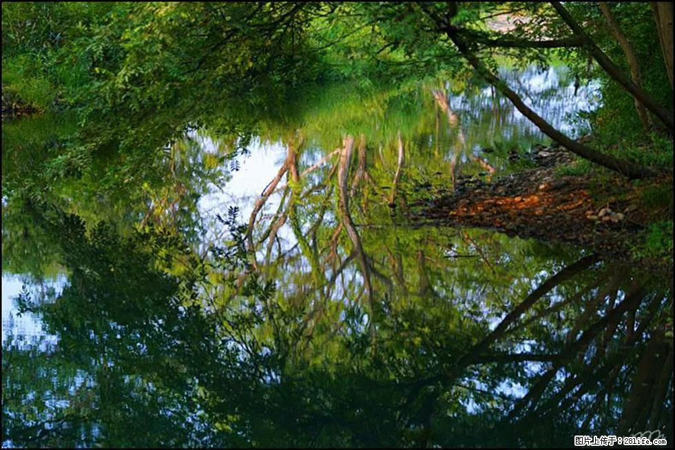 【春天，广西桂林灌阳县向您发出邀请！】熊家寨湿地公园 - 游山玩水 - 安康生活社区 - 安康28生活网 ankang.28life.net