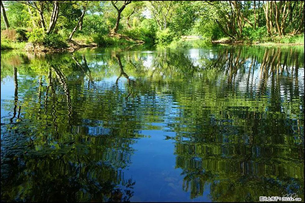 【春天，广西桂林灌阳县向您发出邀请！】熊家寨湿地公园 - 游山玩水 - 安康生活社区 - 安康28生活网 ankang.28life.net
