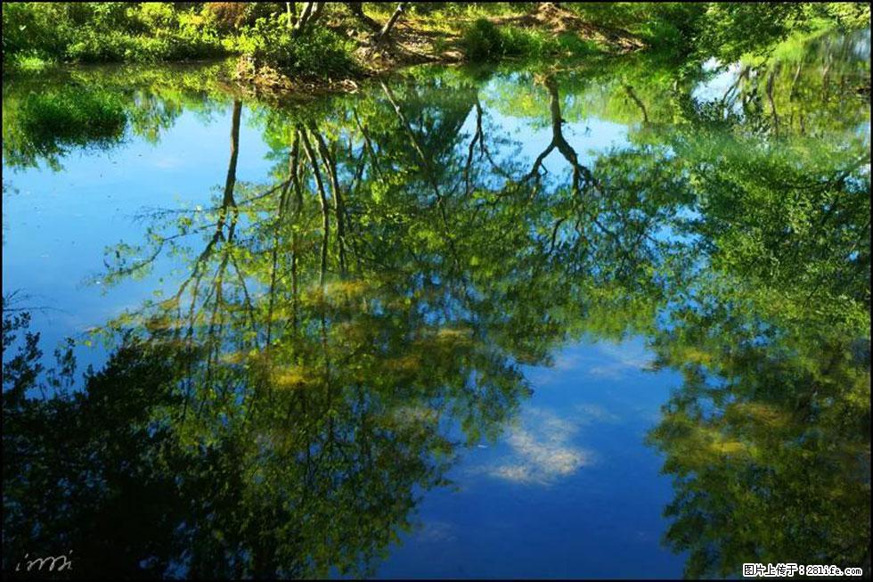 【春天，广西桂林灌阳县向您发出邀请！】熊家寨湿地公园 - 游山玩水 - 安康生活社区 - 安康28生活网 ankang.28life.net