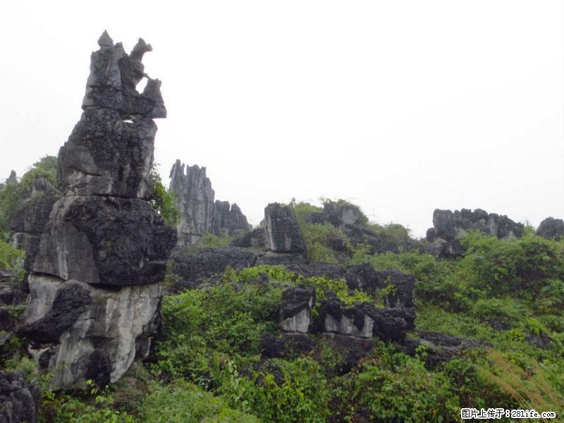 桂林旅游名城景点：灌阳文市石林 - 游山玩水 - 安康生活社区 - 安康28生活网 ankang.28life.net