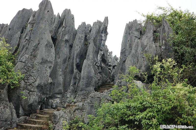 桂林旅游名城景点：灌阳文市石林 - 游山玩水 - 安康生活社区 - 安康28生活网 ankang.28life.net