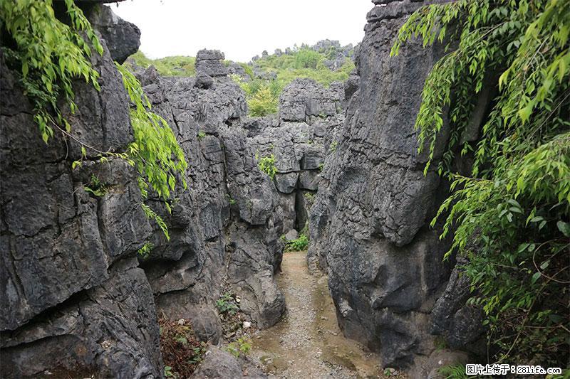 桂林旅游名城景点：灌阳文市石林 - 游山玩水 - 安康生活社区 - 安康28生活网 ankang.28life.net