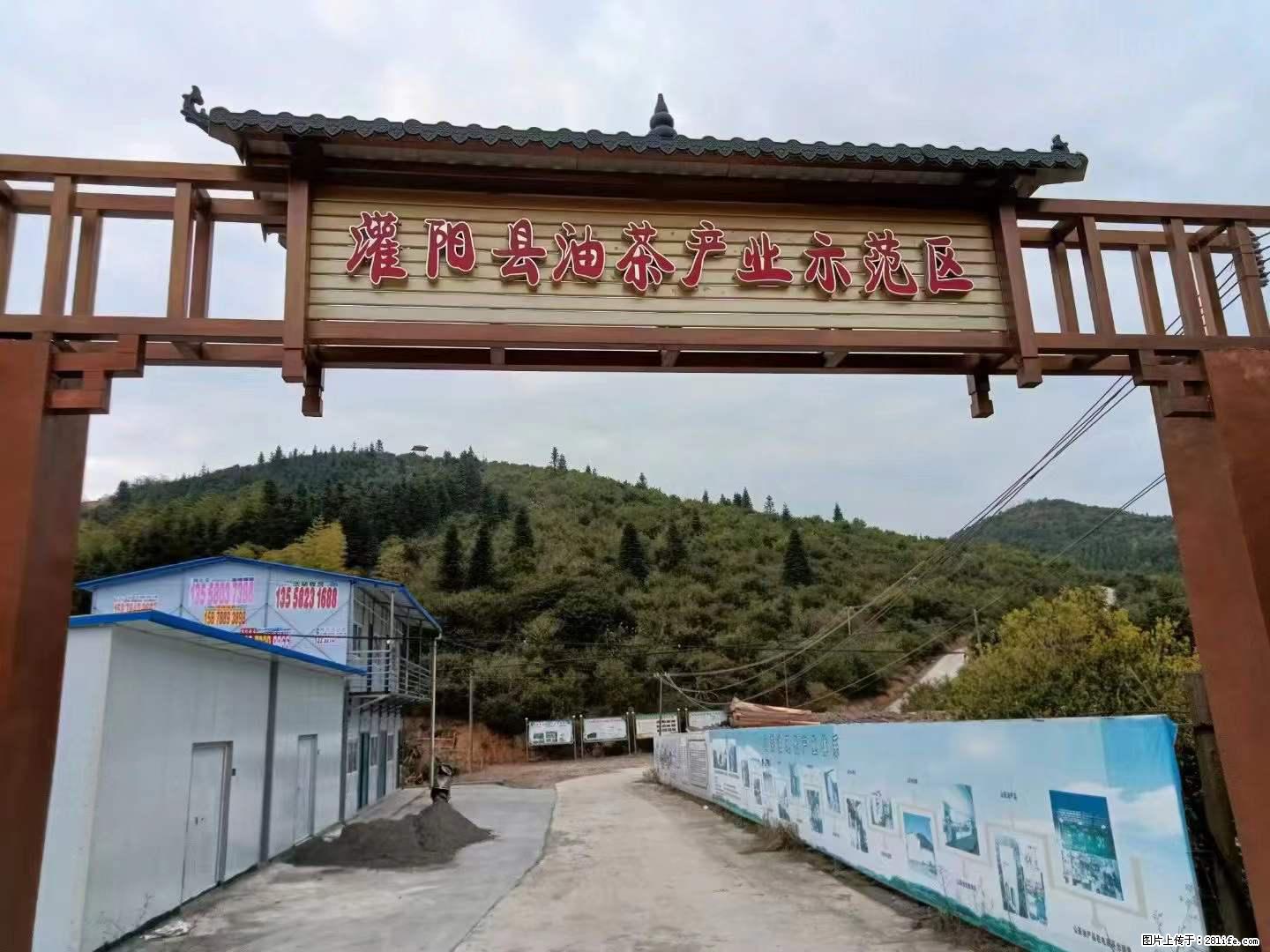 【灌阳县油茶产业示范区】一个有着充实的精神生活的人，对待身外之物自会有一种淡泊的态度 - 美食天地 - 安康生活社区 - 安康28生活网 ankang.28life.net