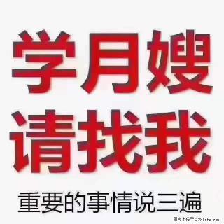 为什么要学习月嫂，育婴师？ - 安康28生活网 ankang.28life.net