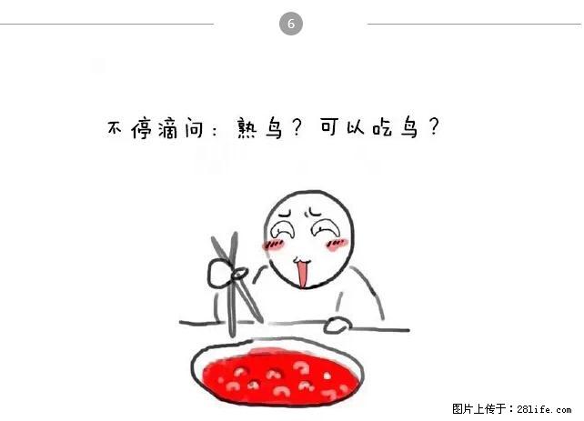 千万不要和这9种哈卵一起吃火锅！ - 美食天地 - 安康生活社区 - 安康28生活网 ankang.28life.net