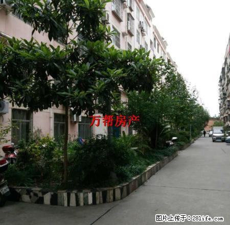 万友商场楼上馨华园 3室精装修 楼层好有钥匙看房方便 - 房屋出租 - 房屋租售 - 安康分类信息 - 安康28生活网 ankang.28life.net