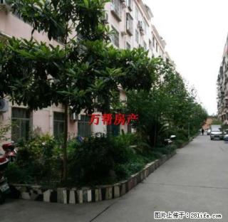 万友商场楼上馨华园 3室精装修 楼层好有钥匙看房方便 - 安康28生活网 ankang.28life.net