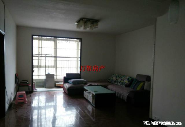 南苑国际 正规 1室1厅1卫 精美装修，家电家具齐全 - 房屋出租 - 房屋租售 - 安康分类信息 - 安康28生活网 ankang.28life.net