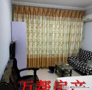 秦巴铭座 1600元 1室1厅1卫 精美装修，楼层佳 - 安康28生活网 ankang.28life.net