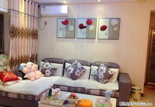 cmy兴安中路南城国际 2600元 2室1厅1卫 精装修 - 安康28生活网 ankang.28life.net