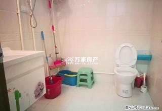 城中精装一室 金州广场 长兴国际广场出租 家具齐全 随时看房 - 安康28生活网 ankang.28life.net