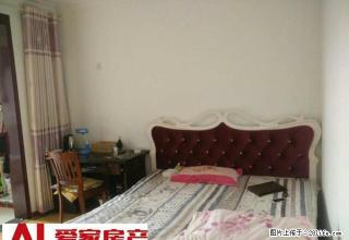 降价了___金州路___高层__家电齐全 - 安康28生活网 ankang.28life.net