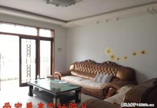 金洲城 两室精装 带家电 - 安康28生活网 ankang.28life.net