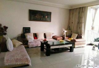 阳光城小区 1500元 2室2厅1卫 精装修，价格便宜，交通 - 安康28生活网 ankang.28life.net