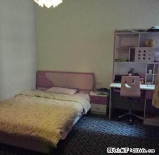 兴科金地 2室2厅 精装 家具家电齐全 拎包入住 - 安康28生活网 ankang.28life.net