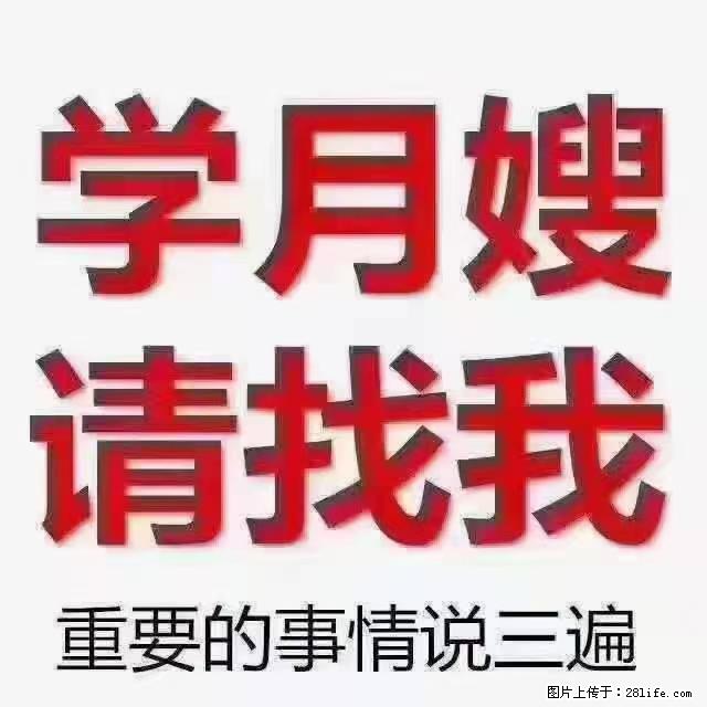 【招聘】月嫂，上海徐汇区 - 职场交流 - 安康生活社区 - 安康28生活网 ankang.28life.net