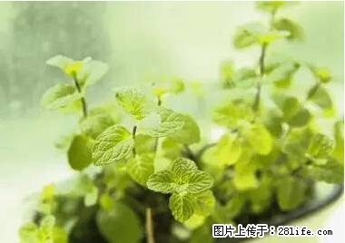 晕车、脚气、牙齿变黄、皮肤粗糙？学会这些三分钟搞定！ - 安康生活资讯 - 安康28生活网 ankang.28life.net