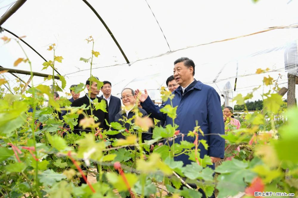 习近平赴广西考察调研 - 安康生活资讯 - 安康28生活网 ankang.28life.net