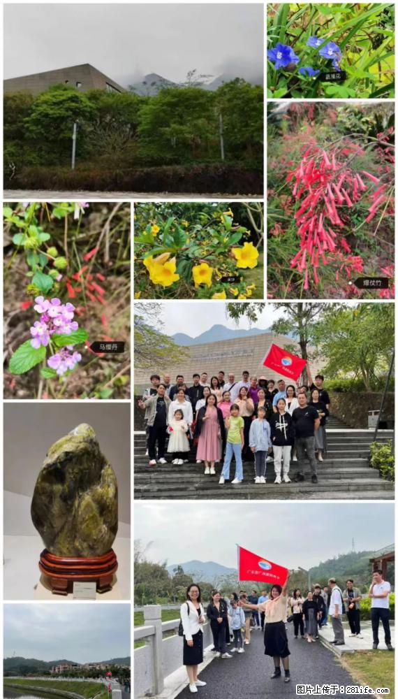 “粤灌文化 美好生活”油茶文化主题活动在广东深圳成功举办 - 安康生活资讯 - 安康28生活网 ankang.28life.net