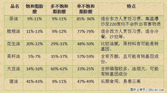 揭秘茶油的5大核心营养成分！被称为人体健康的“守护盾”！ - 安康生活资讯 - 安康28生活网 ankang.28life.net