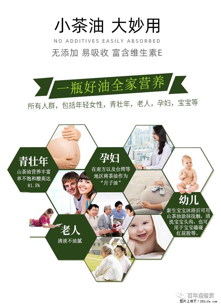 世界没有真相，只有认知，最好的食用油是中国的山茶油！ - 安康生活资讯 - 安康28生活网 ankang.28life.net