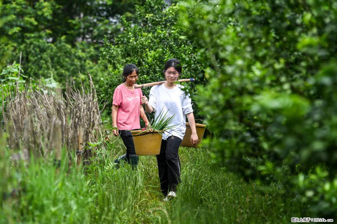 全网追的“扁担女孩”，找了一份暑假工，时薪12元 - 安康生活资讯 - 安康28生活网 ankang.28life.net