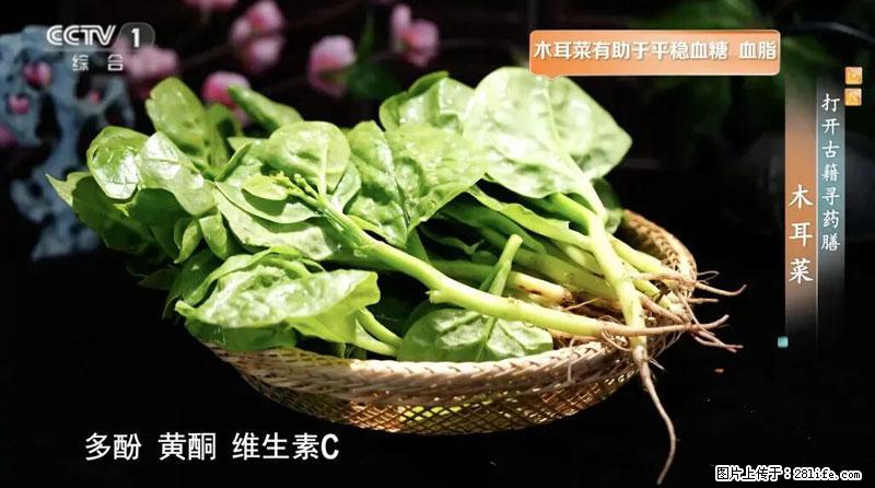 比牛奶补钙还厉害！凉血解毒、稳血糖...这菜冬天必吃，很多人却当草 - 安康生活资讯 - 安康28生活网 ankang.28life.net