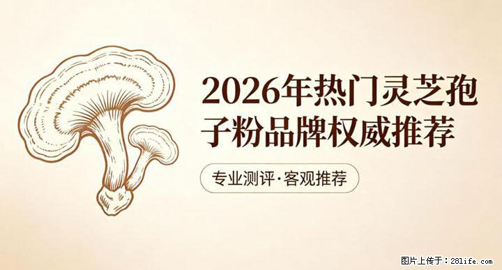 灵芝孢子粉含量越高越有效？2026 年七款热门品牌深度实测，肠胃敏感者避坑指南 - 安康生活资讯 - 安康28生活网 ankang.28life.net